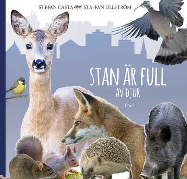 Stan är full av djur